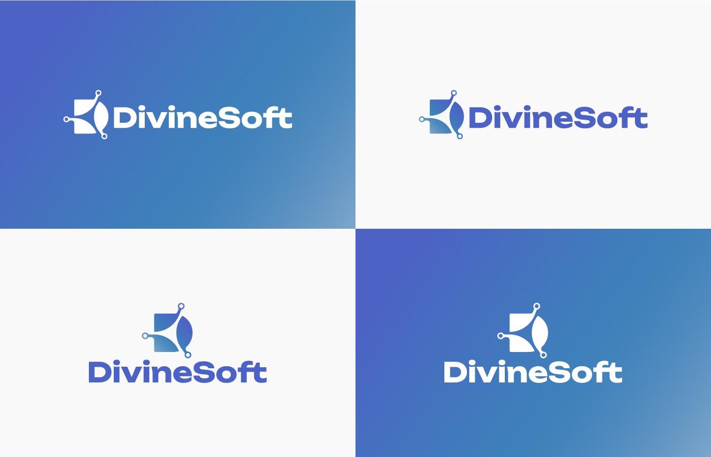 Divinesoft Brand Identity 6